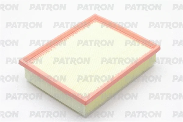 Filtre à air PATRON PF1909
