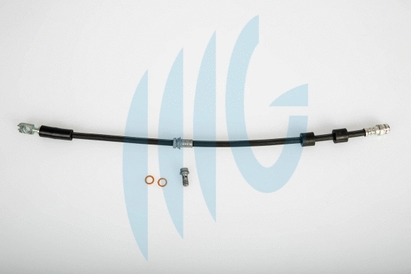 Flexible de frein RICAMBIFLEX GM 02020112