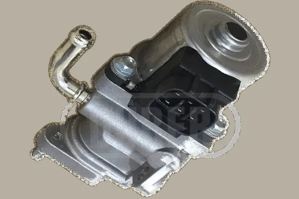 Vanne EGR DÜRER VR281166