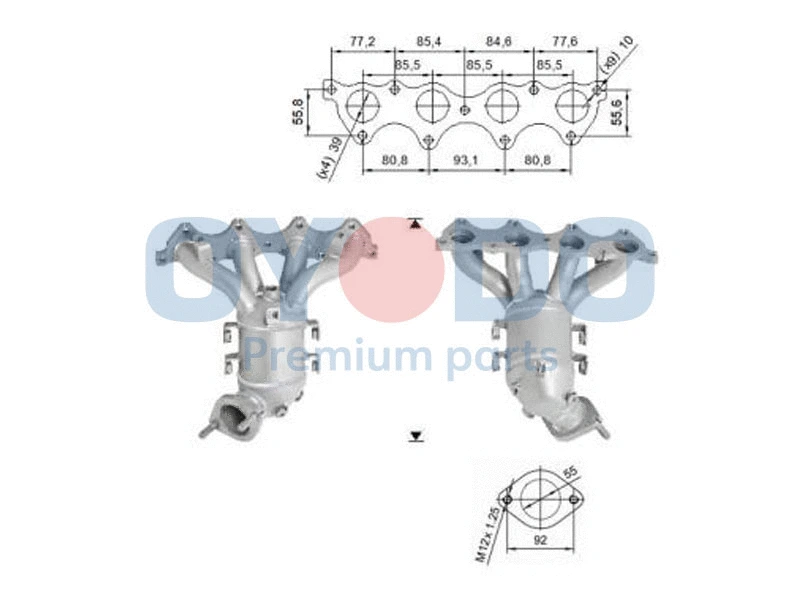 Catalyseur Oyodo 10N0042-OYO