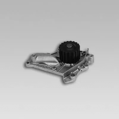 Pompe à eau, refroidissement du moteur GK 981721