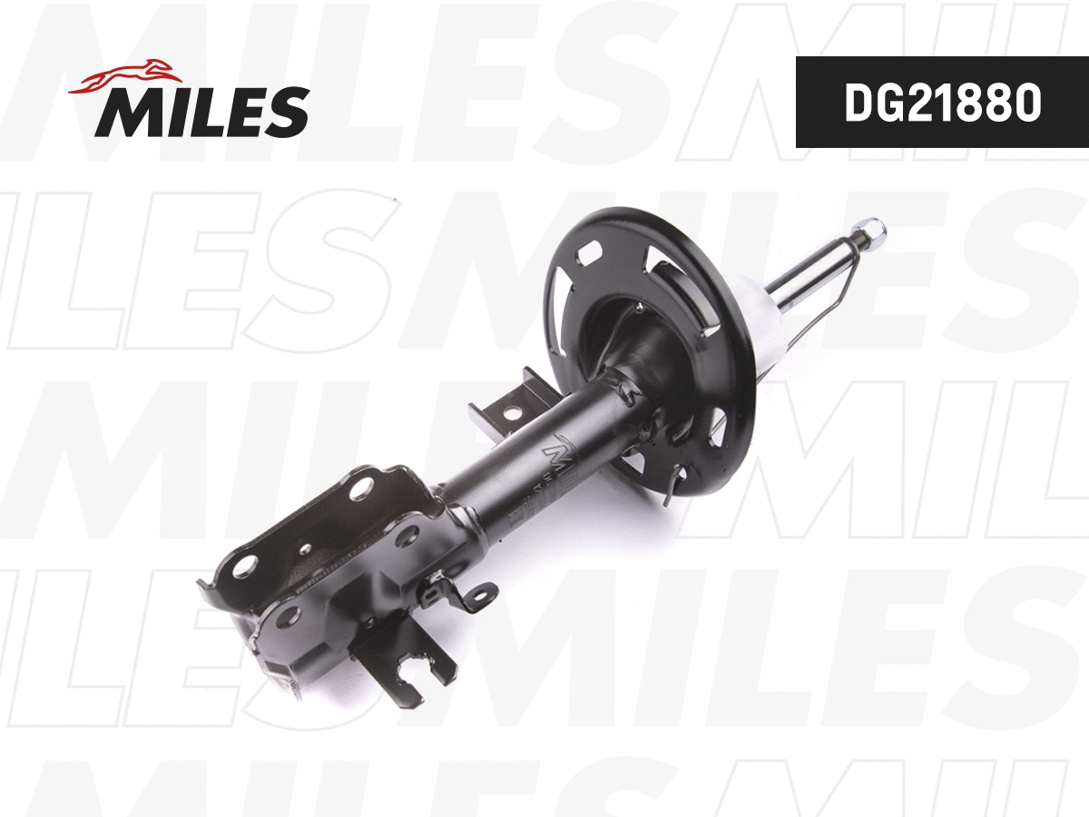 Amortisseur MILES DG21880