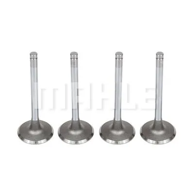 Soupape d'admission MAHLE VA0140114