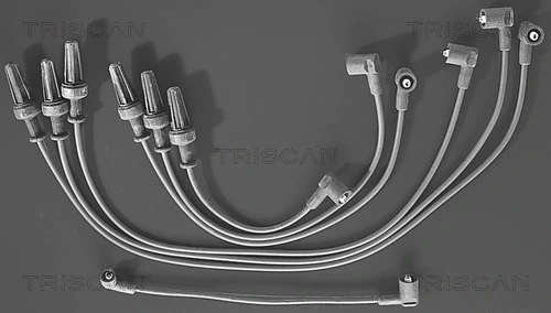 Kit de câbles d'allumage TRISCAN 8860 4319