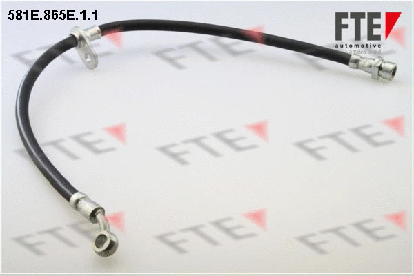 Flexible de frein FTE 9240792