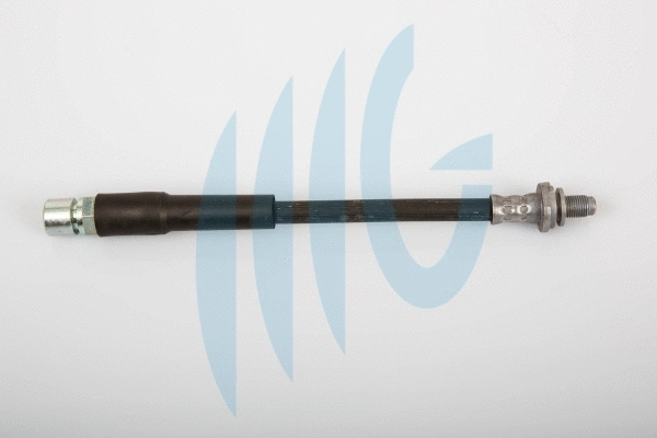 Flexible de frein RICAMBIFLEX GM 02460609