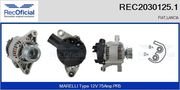 Alternateur RECOFICIAL REC2030125.1