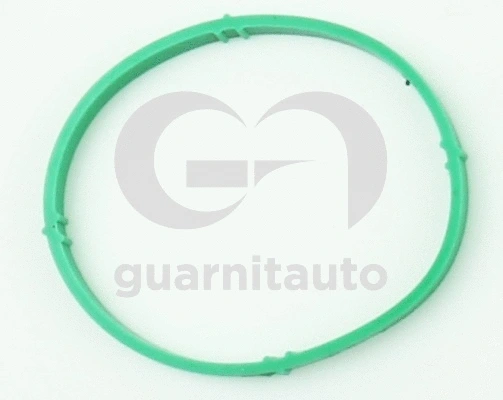 Joint, collecteur d'admission GUARNITAUTO 193581-8200