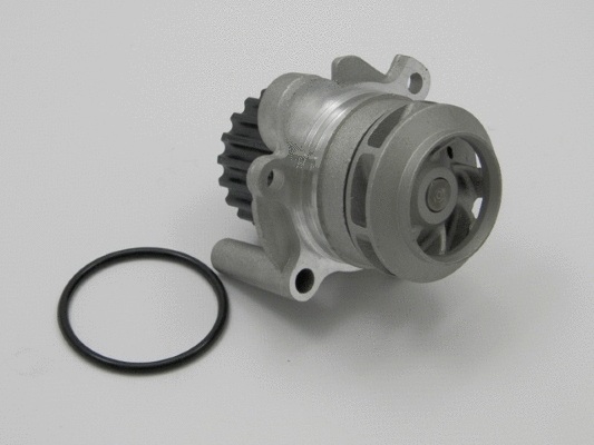 Pompe à eau, refroidissement du moteur MTR 12119994