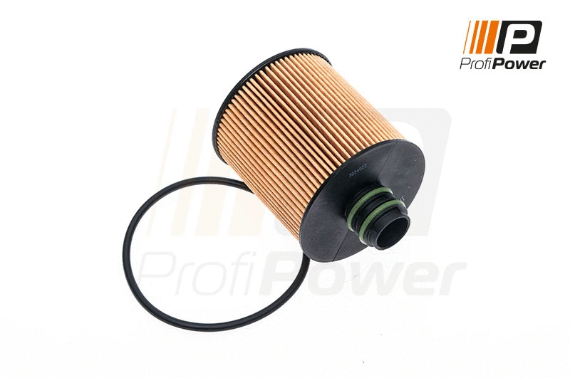 Filtre à huile ProfiPower 1F0100