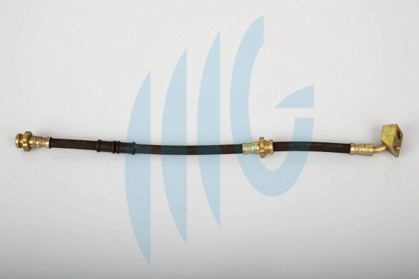 Flexible de frein RICAMBIFLEX GM 02100734