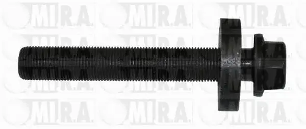 Vis de poulie MI.R.A. 17/2824V
