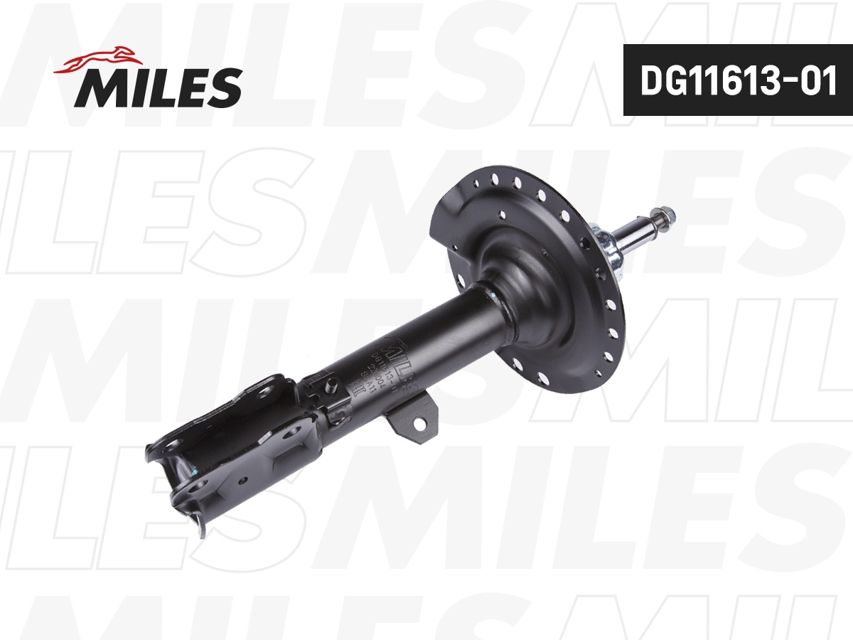 Amortisseur MILES DG11613-01