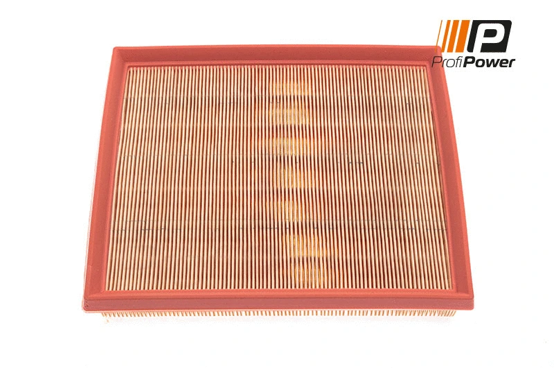 Filtre à air ProfiPower 2F0043