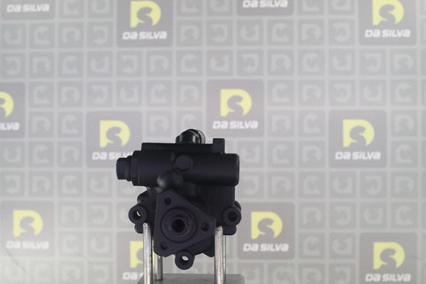 Pompe hydraulique, direction DA SILVA DP3617