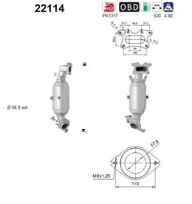 Catalyseur AS 22114
