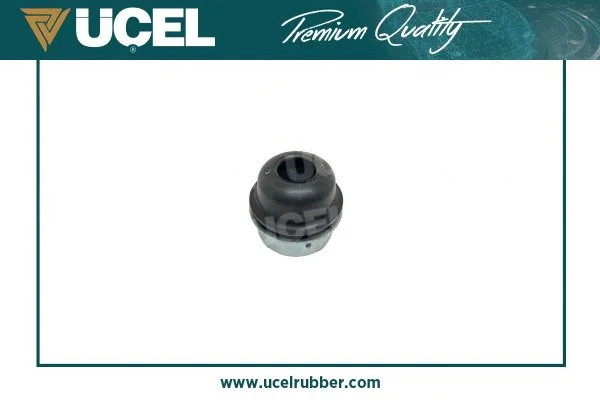 Suspension, corps de l'essieu UCEL 10876