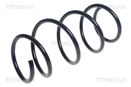 Ressort de suspension TRISCAN 8750 13218