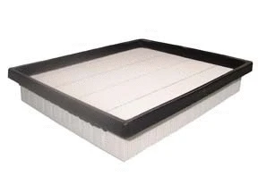 Filtre à air ACDelco Oceania ACA338