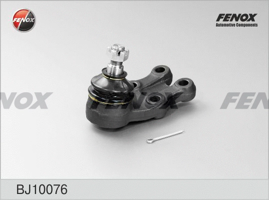 Rotule de suspension FENOX BJ10076