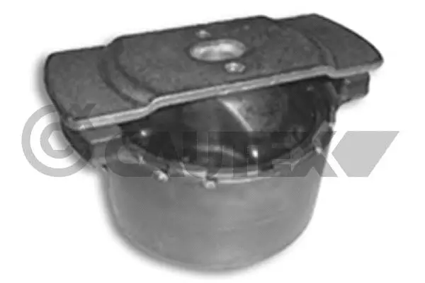 Suspension, corps de l'essieu CAUTEX 020533