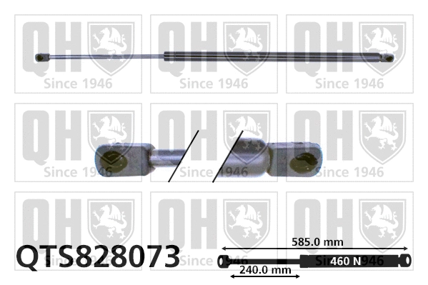 Vérin de hayon, de coffre QUINTON HAZELL QTS828073