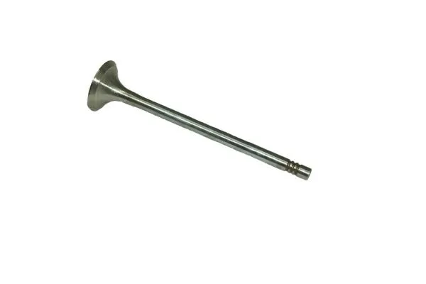Soupape d'émission COGEFA France 709.49C4