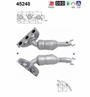 Catalyseur AS 45248