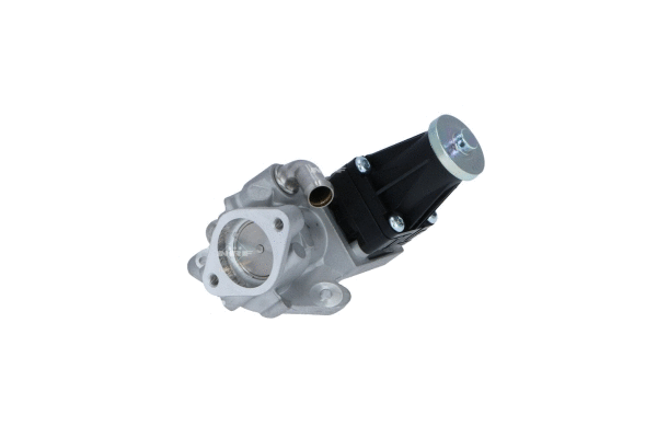 Vanne EGR WILMINK GROUP WG2161832