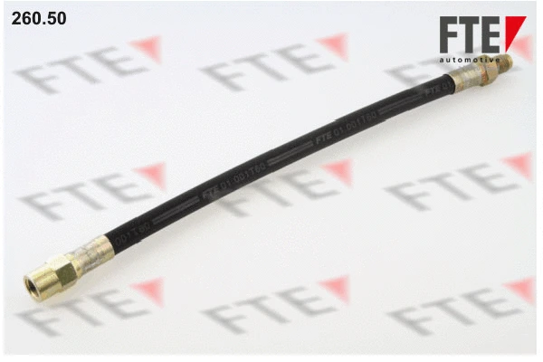 Flexible de frein FTE 9741015