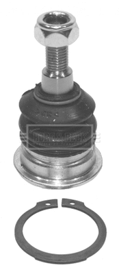 Rotule de suspension BORG & BECK BBJ5504
