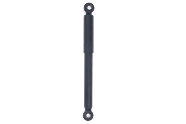 Amortisseur GOOM F220G0791