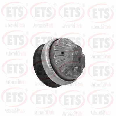Support moteur ETS 15.EM.113