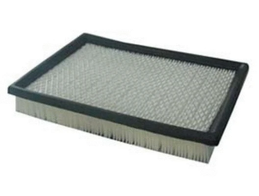 Filtre à air ACDelco Oceania ACA196