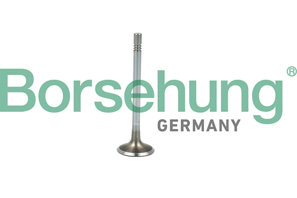 Soupape d'admission Borsehung B19021