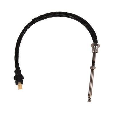 Capteur, température des gaz BAPMIC BF0425990130