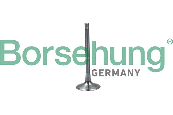 Soupape d'admission Borsehung B19024