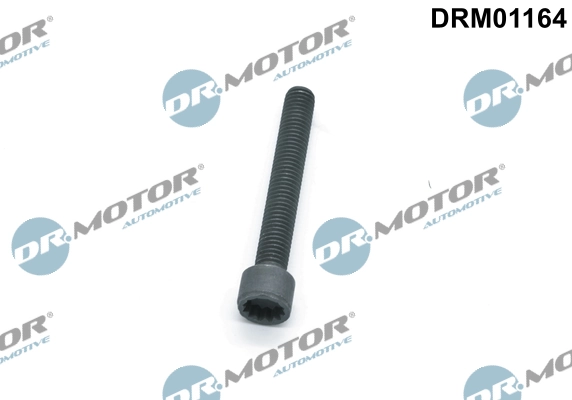 Vis, support pour contrôleur d'injecteurs Dr.Motor Automotive DRM01164