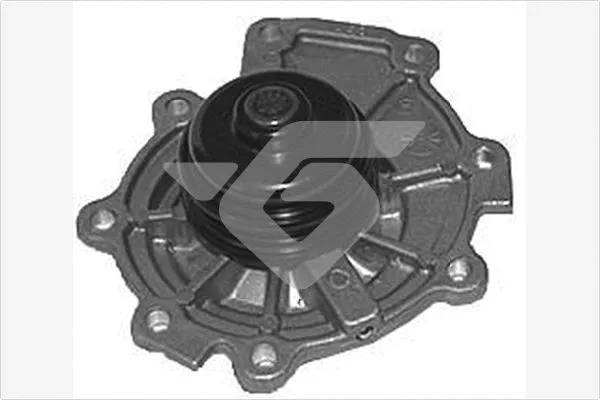 Pompe à eau, refroidissement du moteur HUTCHINSON WP275