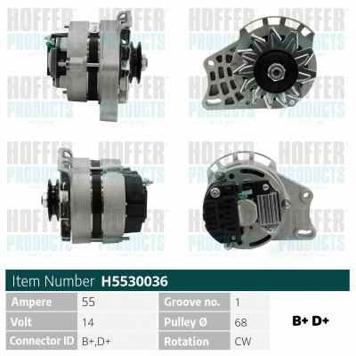 Alternateur HOFFER H5530036