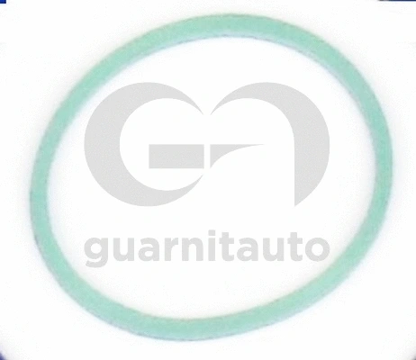 Joint, collecteur d'admission GUARNITAUTO 184765-8300