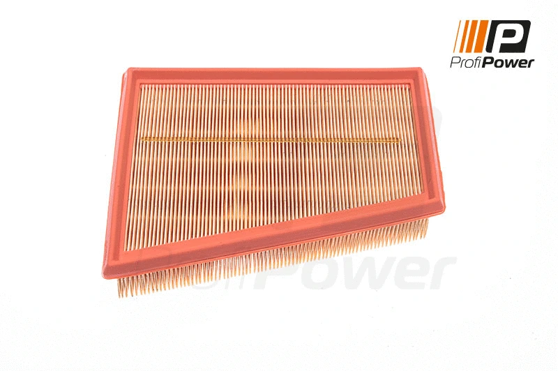 Filtre à air ProfiPower 2F0033