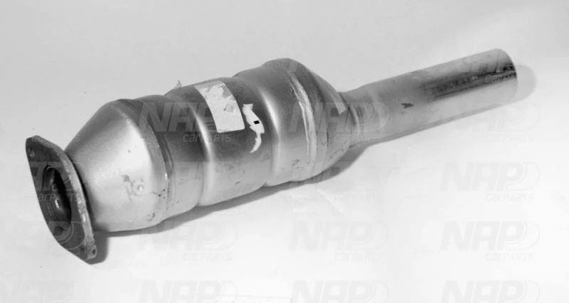 Catalyseur NAP carPARTS GmbH CAK10211