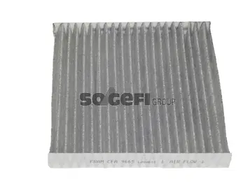 Filtre, air de l'habitacle FRAM CFA9665