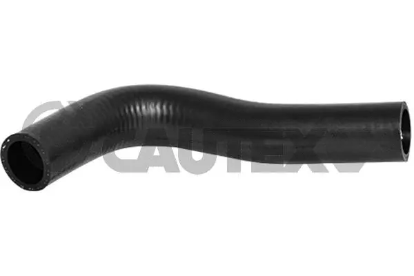 Durite de radiateur CAUTEX 066564