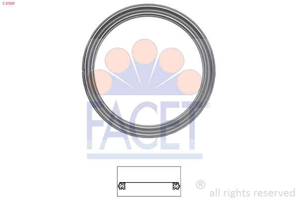 Joint, thermostat FACET 7.9709