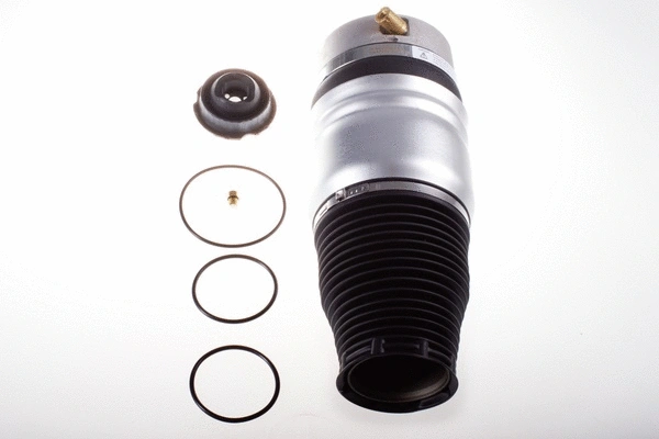 Ressort pneumatique, châssis DENCKERMANN DSA113G