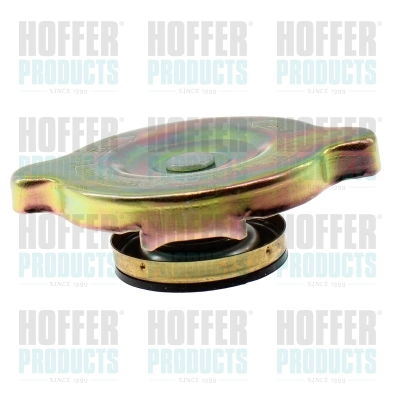 Bouchon, réservoir de liquide de refroidissement HOFFER 2036026