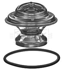 Thermostat, liquide de refroidissement BORG & BECK BBT360