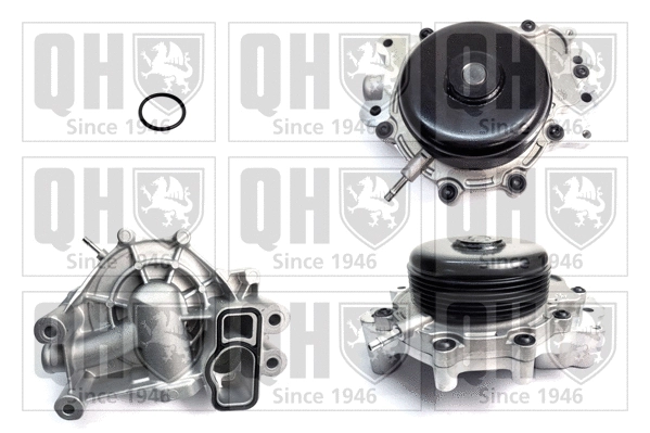 Pompe à eau, refroidissement du moteur QUINTON HAZELL QCP3799BH